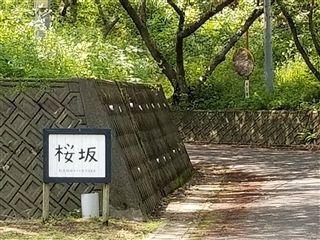 ���C�s,�����@,�T��,echo,�I���@,�ڍ��@